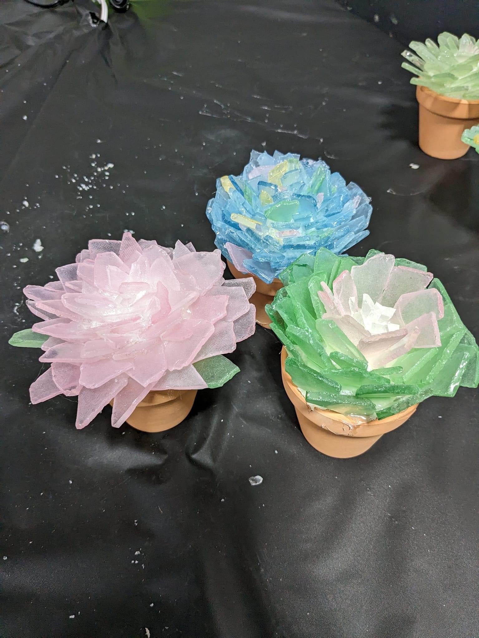 seaglass succulents Terracotta Pot Sea Glass Succulent Kit