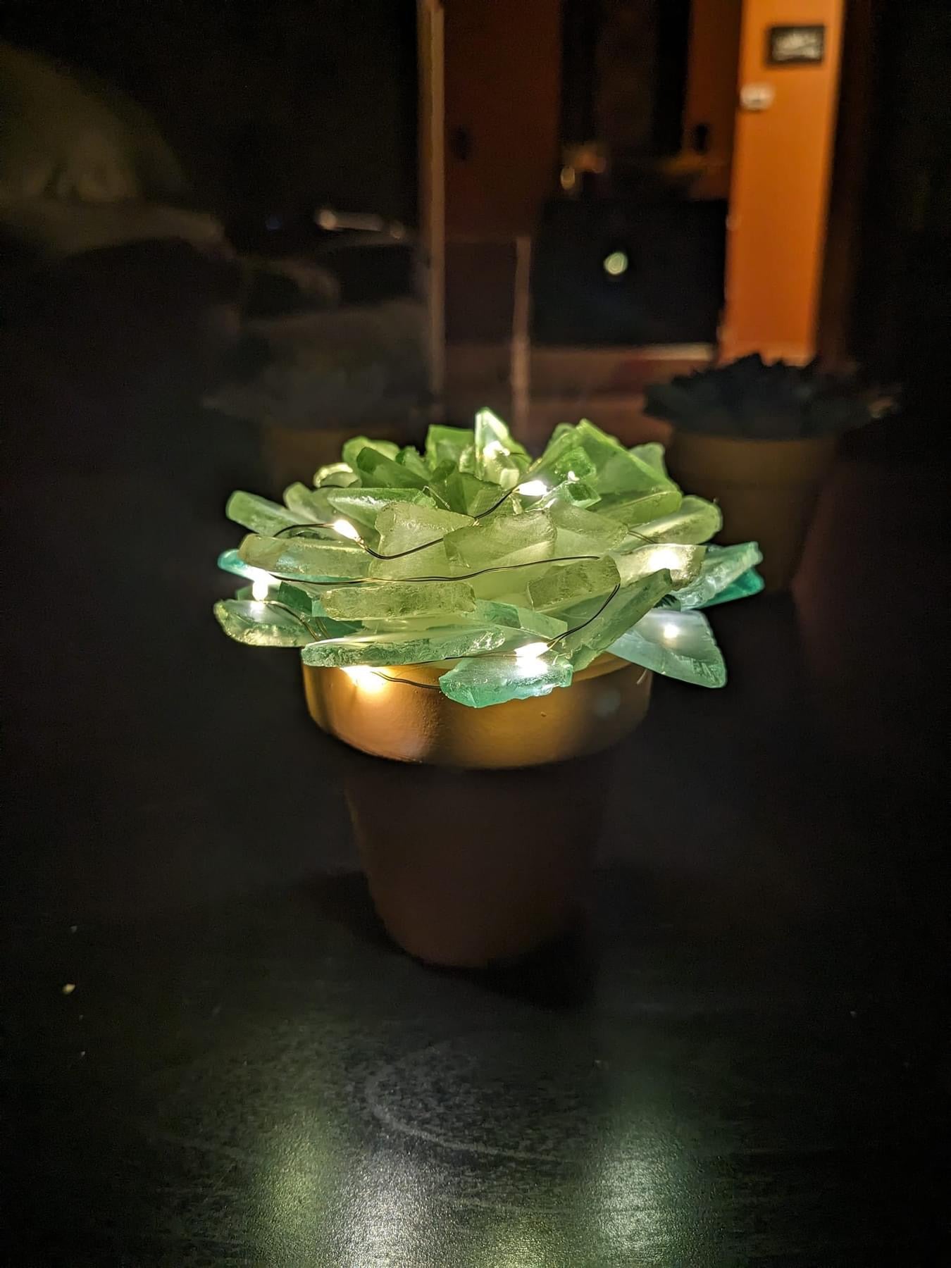 Sea Glass Succulents Kit