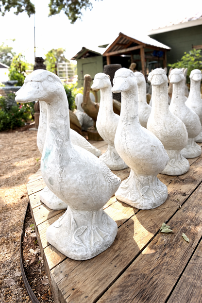 07/25/2026 (6:30pm) Goosey Girls Night Out (Hartwell, GA)