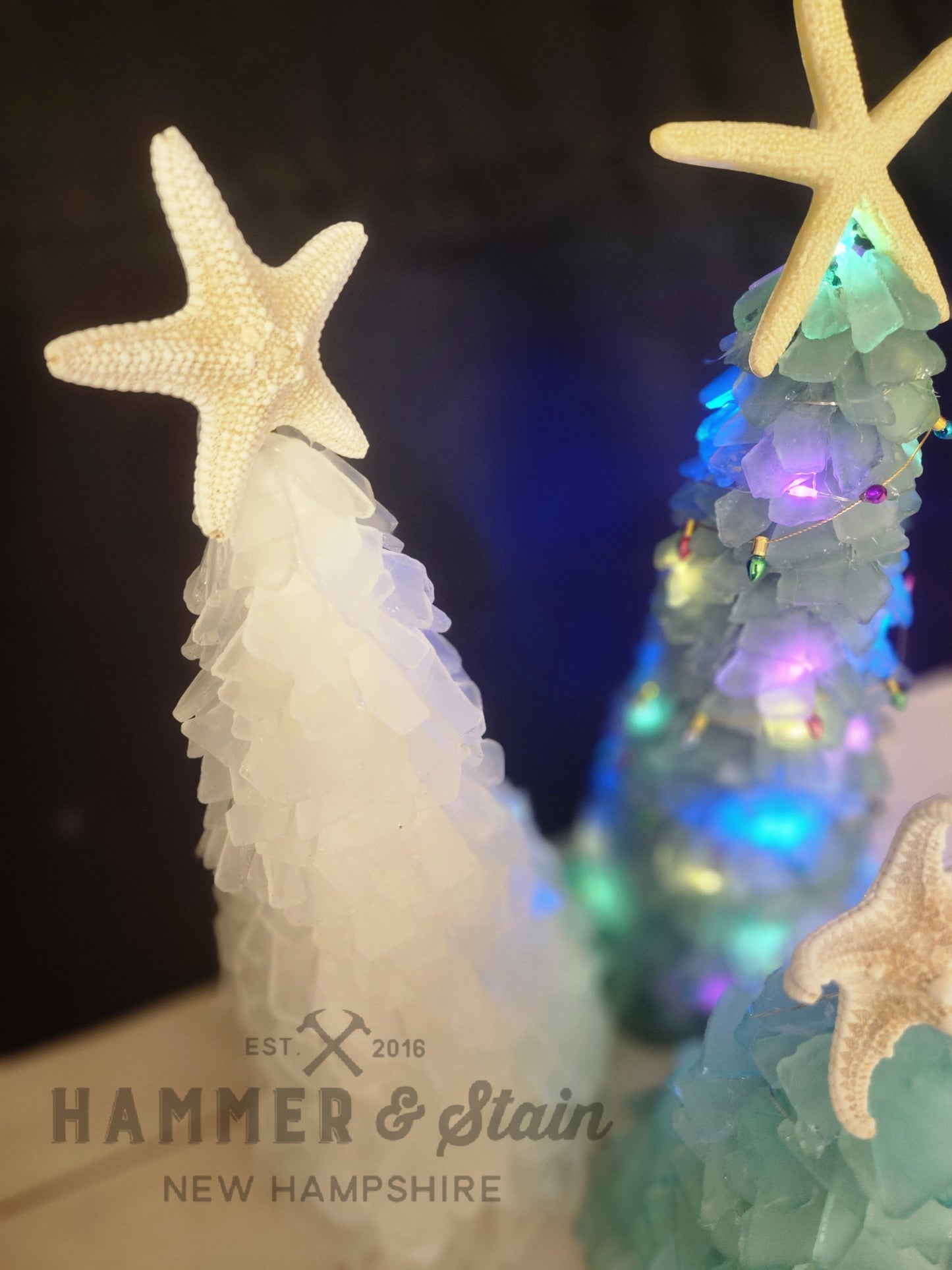 Barbara Paredes Sea Glass Christmas Party