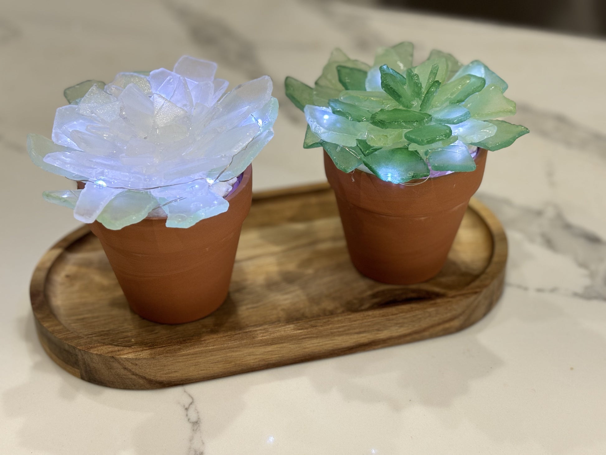 succulent resin Terracotta Pot Sea Glass Succulent Kit