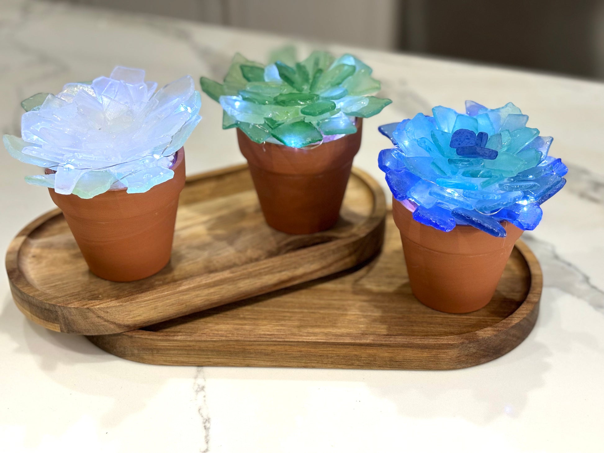 glass succulent Terracotta Pot Sea Glass Succulent Kit