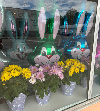 04/04/2026 (6pm) Bunny Balloon Baskets (Hartwell, GA)