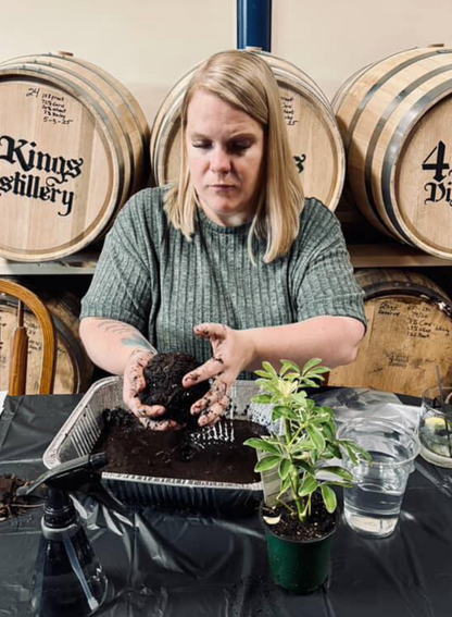 02/21/2026 (7pm) Kokedama & Kava - A Plant & Sip Experience (Athens, GA)