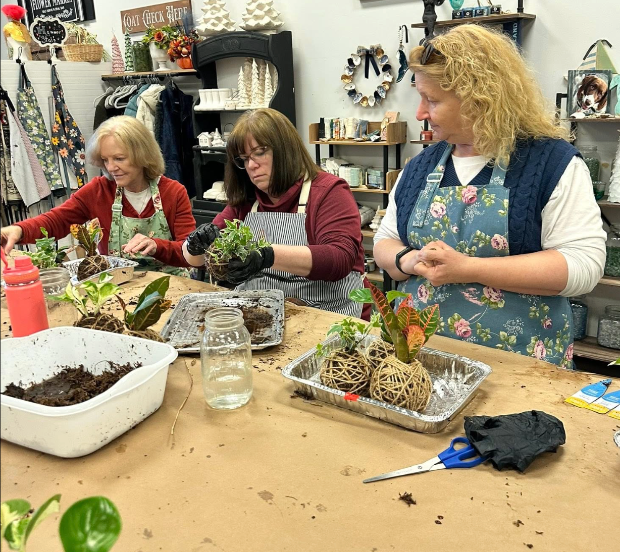 02/21/2026 (7pm) Kokedama & Kava - A Plant & Sip Experience (Athens, GA)